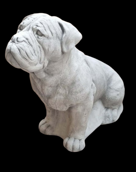 STS103956 bull mastive 71 cm